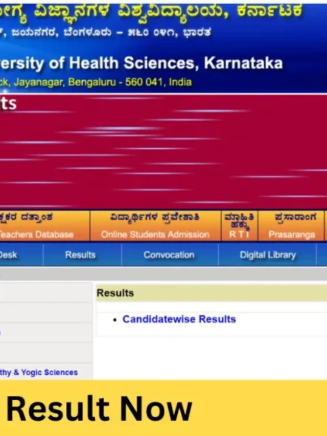 EMS Results 2024