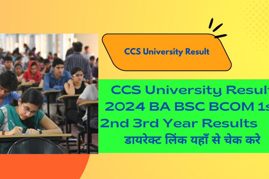 CCS University Result 2024 BA BSC 1st 2nd 3rd Year at result